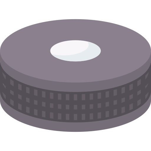 Hockey puck